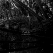 Iridescent Fragment by Dadub