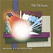 Lamps Are Lit In The Land Of Tomorrow by Bill Nelson