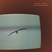 Ciaran Lavery: Not Nearly Dark