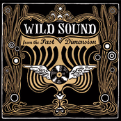 wild sound from the past dimension