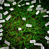 Recess Party: hey, excuse?