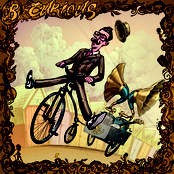B-CURIOUS