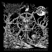 Demented Visions Of Darkness