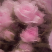 love addict