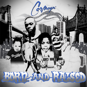 One Purpose by Cormega