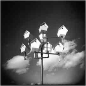 I Want To Tell My Heart To You But I Cannot Say English