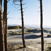 Getdown Services: Eat Quiche, Sleep, Repeat