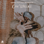 These Perfect Moments