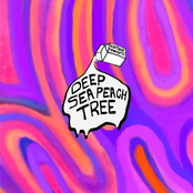 Deep Sea Peach Tree: Certain Thoughts