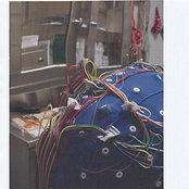 Music Interpreted By The Brain