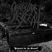 Prepared for the Ground