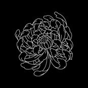 Waves - Single