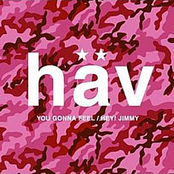 You Gonna Feel by Hav