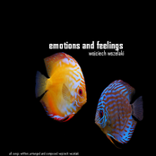 emotions and feelings