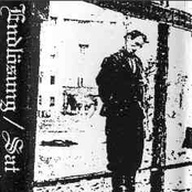 Goat Sperm & Bakjaruh Split CS