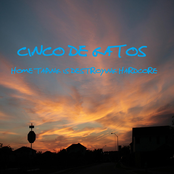 Home Taping Is Destroying Hardcore