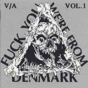 Fuck You We're From Denmark Vol. 1