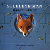 The Cruel Mother by Steeleye Span