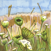 Years At The Unknown