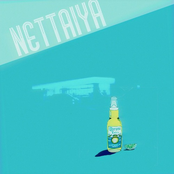 NETTAIYA