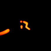 post-modern reptiles through coma virgins