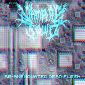 RE-ANEMONATED DEAD FLESH