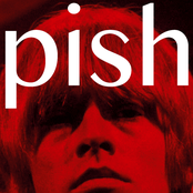 Mini Album Thingy Wingy