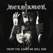 FROM THE ASHES WE WILL RISE