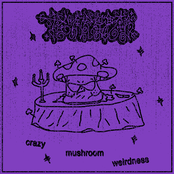 Crazy Mushroom Weirdness