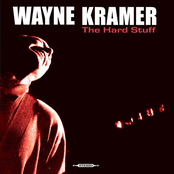 Sharkskin Suit by Wayne Kramer