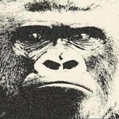 mongolian chop squad vol. 1