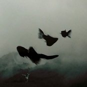 Summer (2023 Remastered)