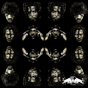 Camo Assassin - Single