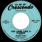 You Look Like a Flower - Single