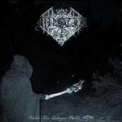 Skalder Från Urskogens Dunkla Mystik