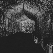 Epitomes of Carnal Despoilment