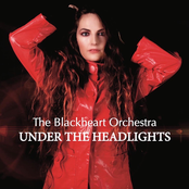 Under the Headlights