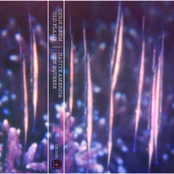 Old Flame | New Squeeze