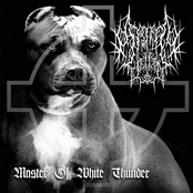 Master of white thunder
