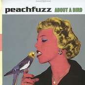 Peachfuzz: About a Bird