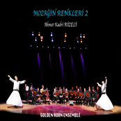 Mozağin Renkleri 2