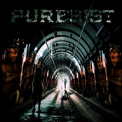 Puresist