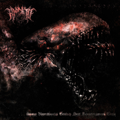 Severe Hematidrosis Causing Feral Indominusmorph Chase