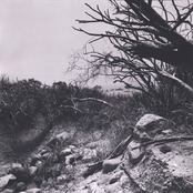 DESOLATION