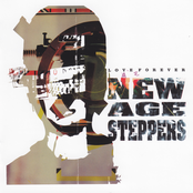 Conquer by New Age Steppers