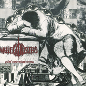 Gift for the Darkness