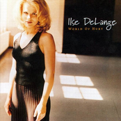 What Does Your Heart Say Now by Ilse Delange