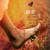 In The Mood For Love