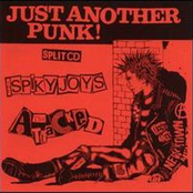 Just Another Punk!