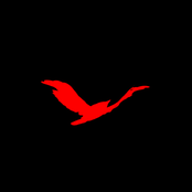 Cosmic Indifference (unreleased)